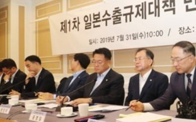 對日 민관정협의회 첫 회의…"소재부품산업 중장기대책 마련"