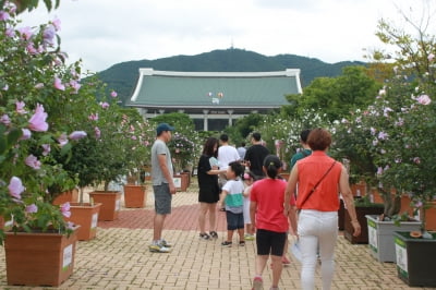 산림청, 9~15일 천안 독립기념관서 제29회 나라꽃 무궁화 전국축제