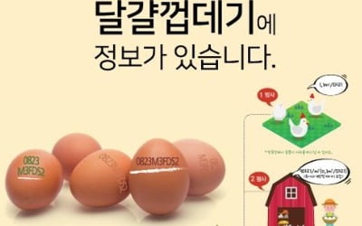 산란일자 표시 보고 신선한 달걀 확인 가능해진다