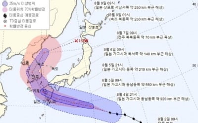 8호 태풍 '프란시스코' 6일 밤 한반도 상륙할 듯