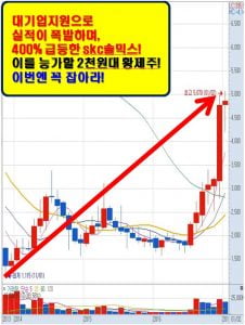 시장에서 살아남을 황금주는?