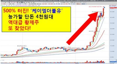 日소재 국산화성공한 2천원대 종목!