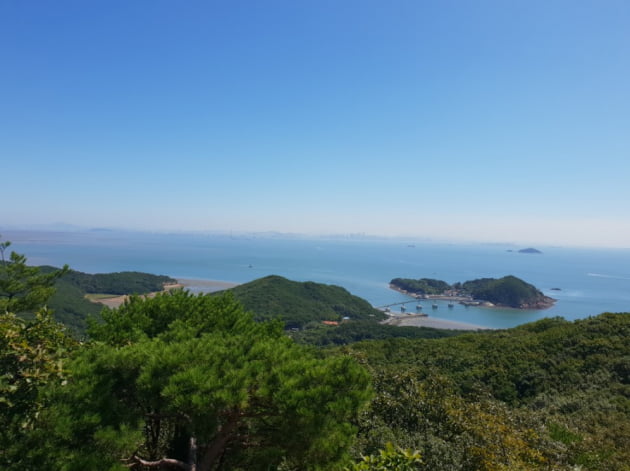 산림청, 8월 국유림 명품숲에 ‘무의도 호룡곡산·국사봉 숲’ 선정