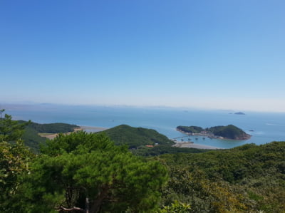 산림청, 8월 국유림 명품숲에 '무의도 호룡곡산·국사봉 숲' 선정