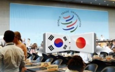 정부 '상응조치' 부인하는 이유…"WTO 맞소송 가능성 때문"