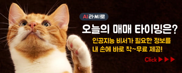 요즘 여의도에서 뜨고 있는 텔레그램 채널 5선