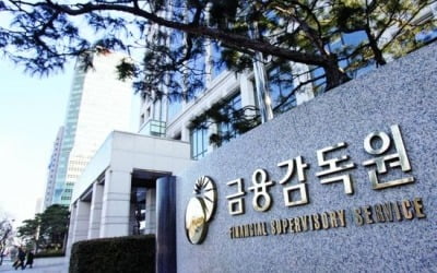 금감원, '대규모 손실' DLF 실태조사 마쳐…이번주 우리·하나은행 검사