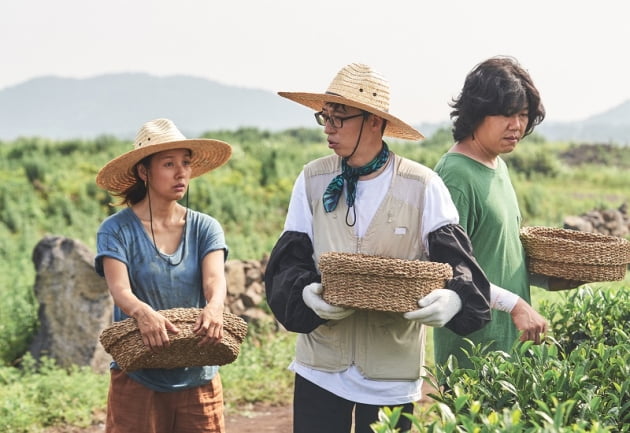 TV 읽기｜억지 웃음은 이제 그만…요즘 시대 '힐링' 예능