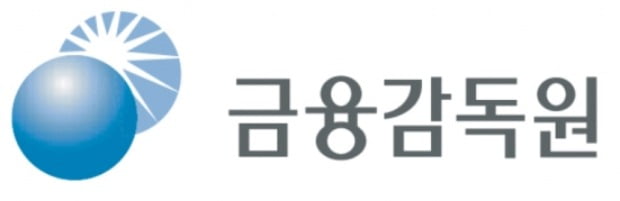 (사진=금융감독원)