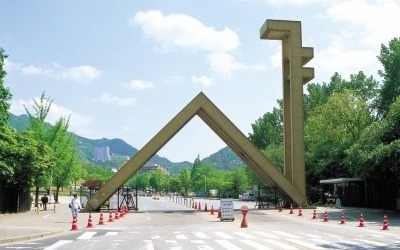 서울대·고대 이어 부산대도 "부끄럽다. 우리도 촛불집회 열자"