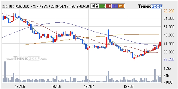 셀리버리, 전일대비 10.13% 상승... 최근 주가 반등 흐름