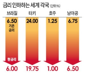 글로벌 '금리인하'…호주·터키 이어 브라질도 동참