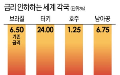 글로벌 '금리인하'…호주·터키 이어 브라질도 동참