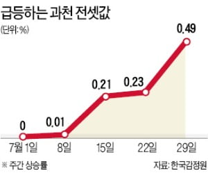 과천 전셋값 급등…"청약 노린 이주 몰렸다"