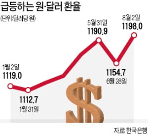 원화 가치도 폭락…원·달러 환율 1200원 육박