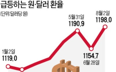 원화 가치도 폭락…원·달러 환율 1200원 육박