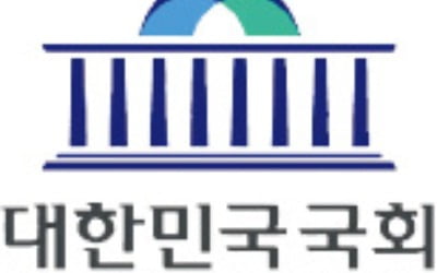 "선진화법 수사 어쩌나"…의원도 경찰도 '끙끙'