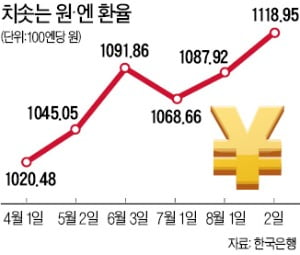 브레이크 풀린 엔화…"1150원선까지 치솟을 듯"