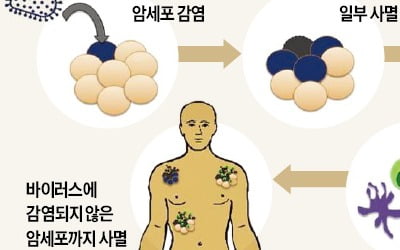 신라젠 펙사벡 글로벌 임상 실패에…확산되는 항암바이러스 치료제 효능 논란