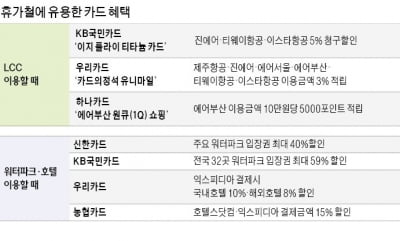 혜택 꼼꼼히 따지면 휴가비 굳는다…'혜자 카드'로 실속 바캉스