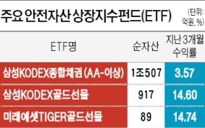 증시 피난처 부상한 '안전자산 ETF' 수익률 고공행진…"자금 더 몰릴 것"