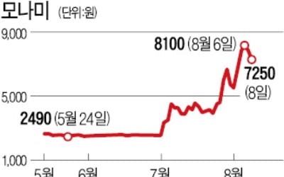 '애국테마株' 3종목, 韓·日갈등 터진 뒤 19억株 거래됐다