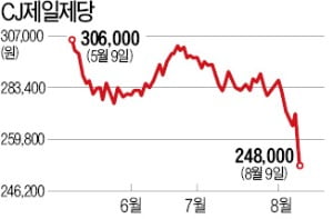 “매출 늘어도 경쟁 심화”…식품株들 신저가 속출