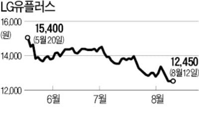 LG유플러스 PG사업부 인수 2파전 압축