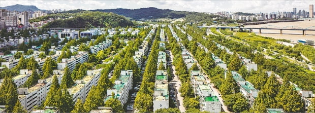 정부가 관리처분인가를 받은 재건축사업에도 민간택지 분양가 상한제를 적용하겠다고 예고하면서 ‘이중잣대’ ‘사유재산 침해’ 논란이 거세지고 있다. 관리처분인가를 받고 이주를 준비 중인 서울 반포주공 1단지 전경.  한경DB 