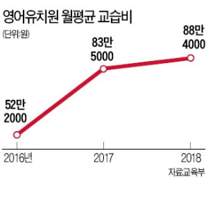 500개 넘은 영어유치원…정부 관리 '사각지대'