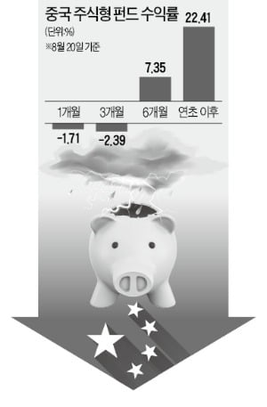 중국펀드, 흔들리는 '수익지존'…베트남펀드, 조정장서 '군계일학'