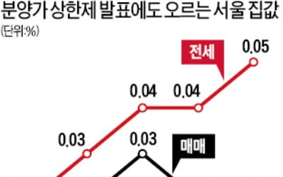 분양가 상한제 방침에도…서울 집값 상승세 지속