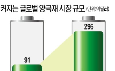 포스코, 中 양극재 공장 준공…배터리 소재 '진격'