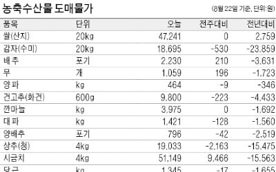 계속 떨어지는 채소 가격