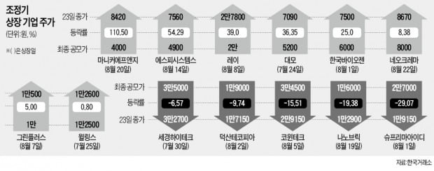 옥석 가렸더니…하락장서 선방한 새내기株