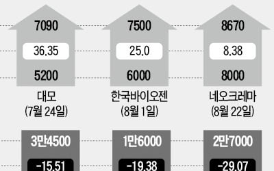 옥석 가렸더니…하락장서 선방한 새내기株