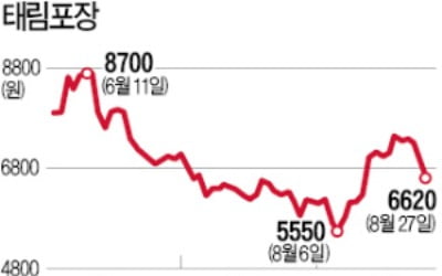 태림포장 인수전서 한솔제지 빠져…TPG·中 샤닝페이퍼·세아상역 3파전으로