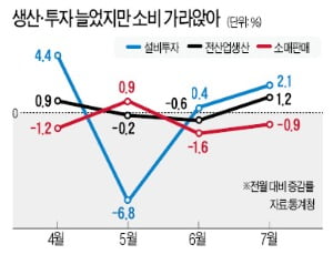 생산·투자 소폭 늘었지만 소비 줄어…제조업생산능력 역대 최장 '내리막'