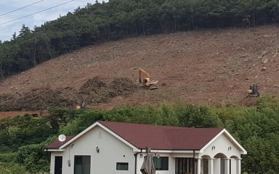 [조재길의 경제산책] 고흥 주민들 "마을 뒷산 밀고 태양광 설치 분통"