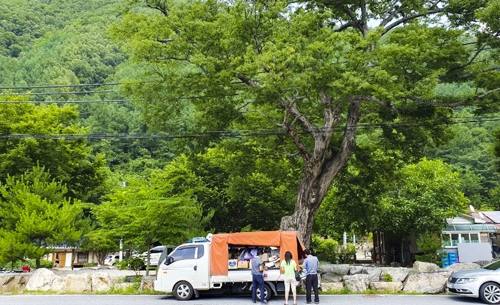 [렛츠고 캠핑] '삿갓 그늘 속으로…' 뼛속까지 시원한 영월 캠핑 로드