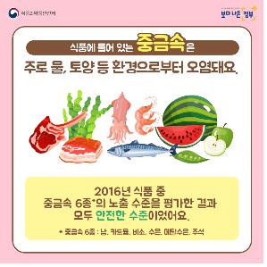 "임산부, 어류·참치통조림 주당 400g 이하 섭취 바람직"