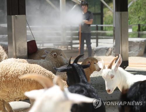 전북도, 폭염대응 비상 2단계로 격상…피해 최소화 주력