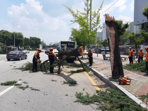 광주서 시외버스 가로수 들이받아 3명 경상