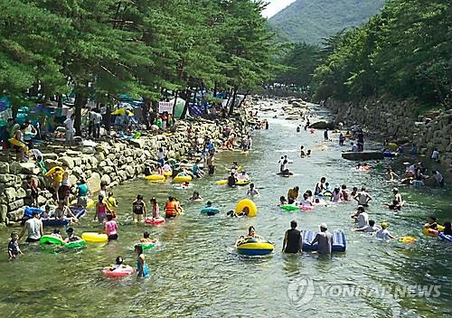 제천 수산 37도…충북 올여름 최고기온 경신