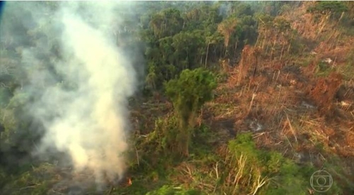 브라질, 아마존 열대우림 파괴 실태 자료 둘러싸고 또 논란