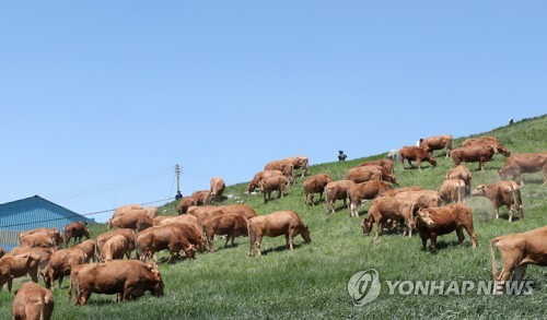 산지에 초지 조성해 가축 기른다…춘천시 타당성 검증