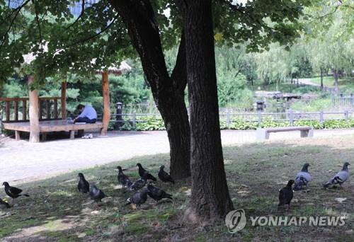 경북 동해안 열대야…오늘 낮 최고기온 33∼36도