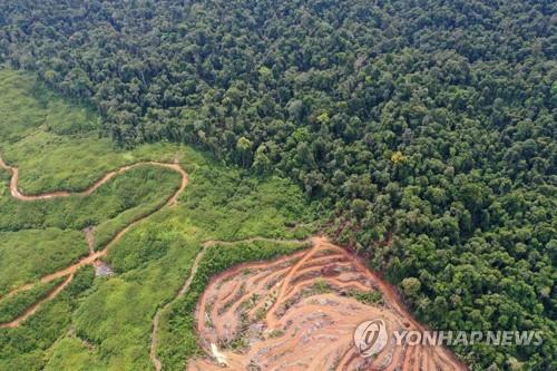조코위 인니 대통령, 한반도 3배 규모 숲 영구개발금지 선언