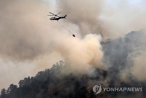 '관광지 지켜라'…키프로스 소방당국 대형산불과 사투