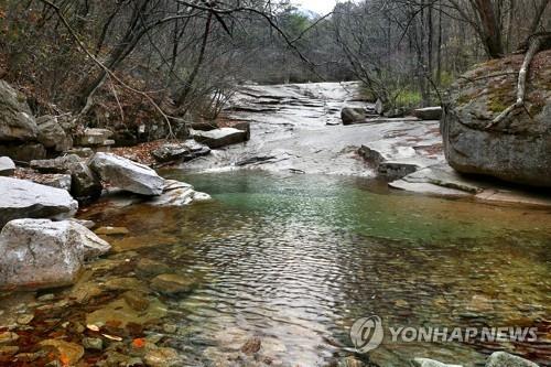 자릿세 10만∼15만원…문경 쌍용계곡 불법 평상 영업 철퇴